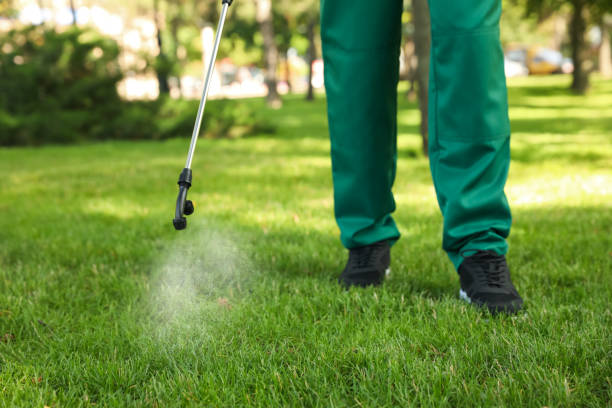 Pest Control for Restaurants in San Carlos, CA